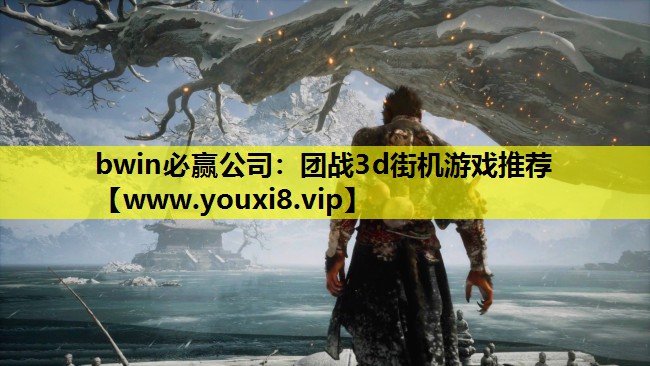 bwin必赢公司：团战3d街机游戏推荐