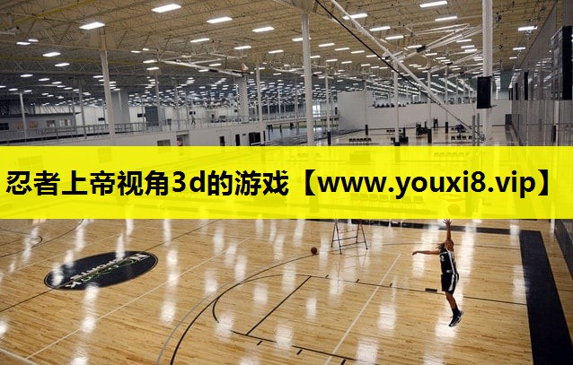 忍者上帝视角3d的游戏