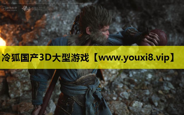 冷狐国产3D大型游戏