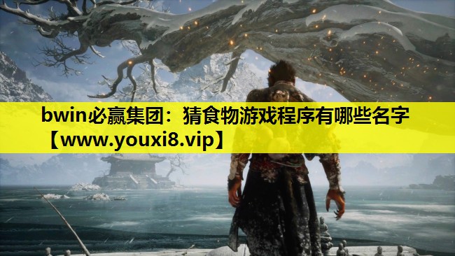 <strong>bwin必赢集团：猜食物游戏程序</strong>